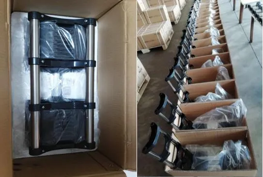 32kg Cast Iron Adjustable Dumbbell Set Pounds Gym Equipment