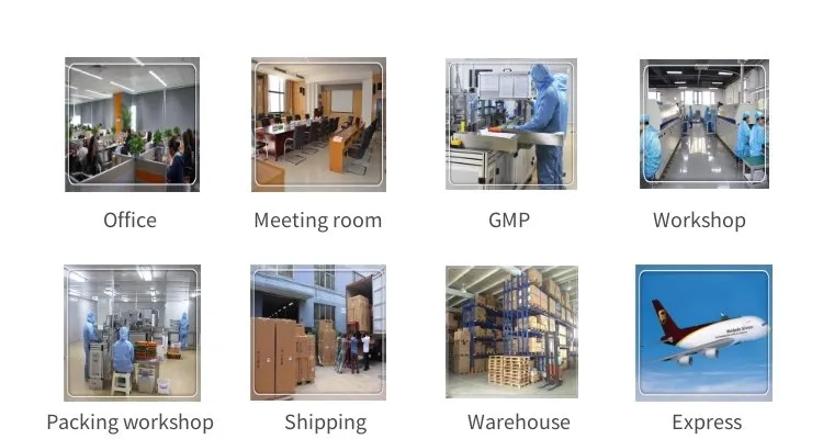 Adult Children Taekwondo Boxing Fitness Training Equipment PU Hand Target Futaba Target