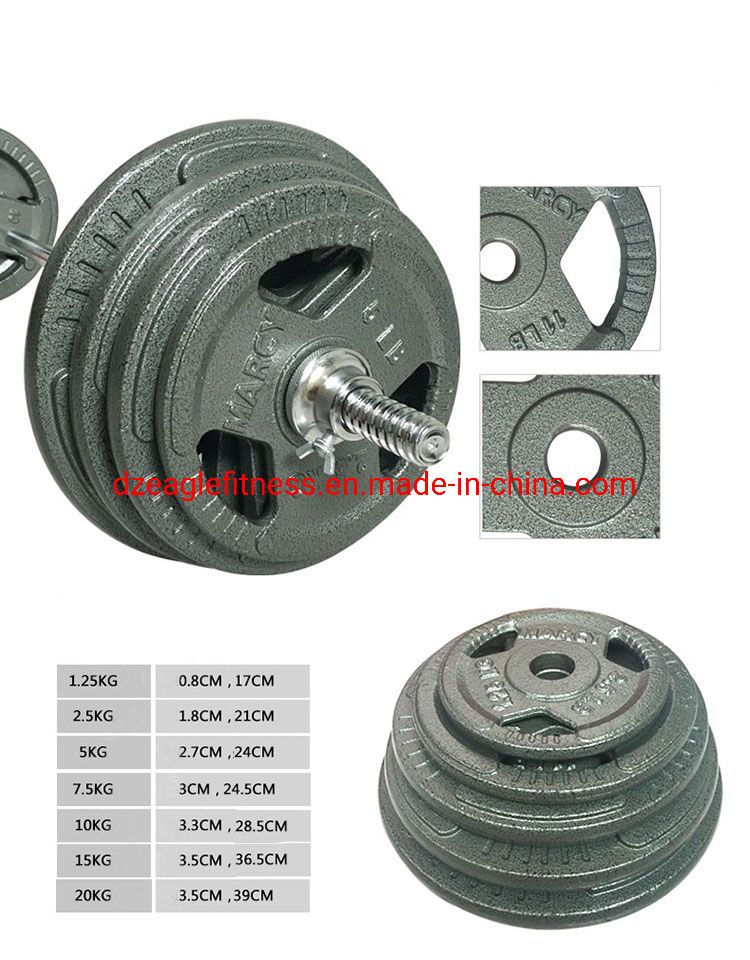 Cast Dumbbell Weight Plates Pounds Weight Lifting