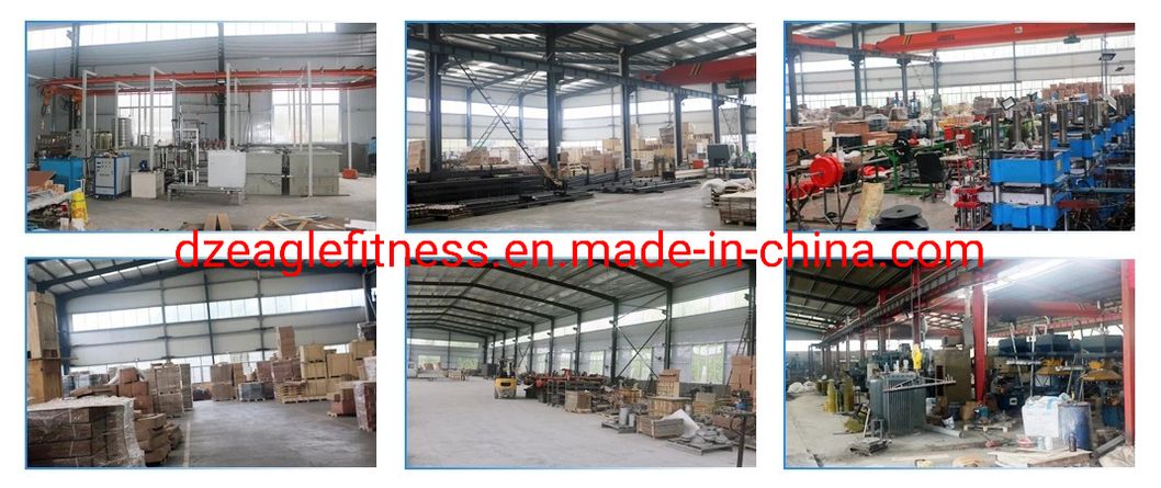 Cast Dumbbell Weight Plates Pounds Weight Lifting