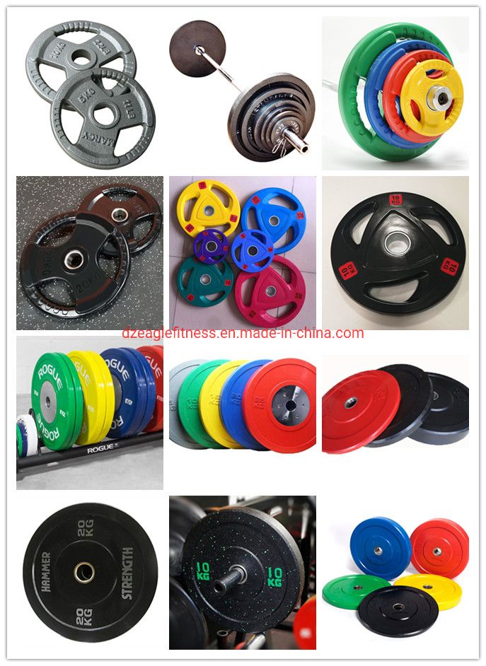 Cast Dumbbell Weight Plates Pounds Weight Lifting