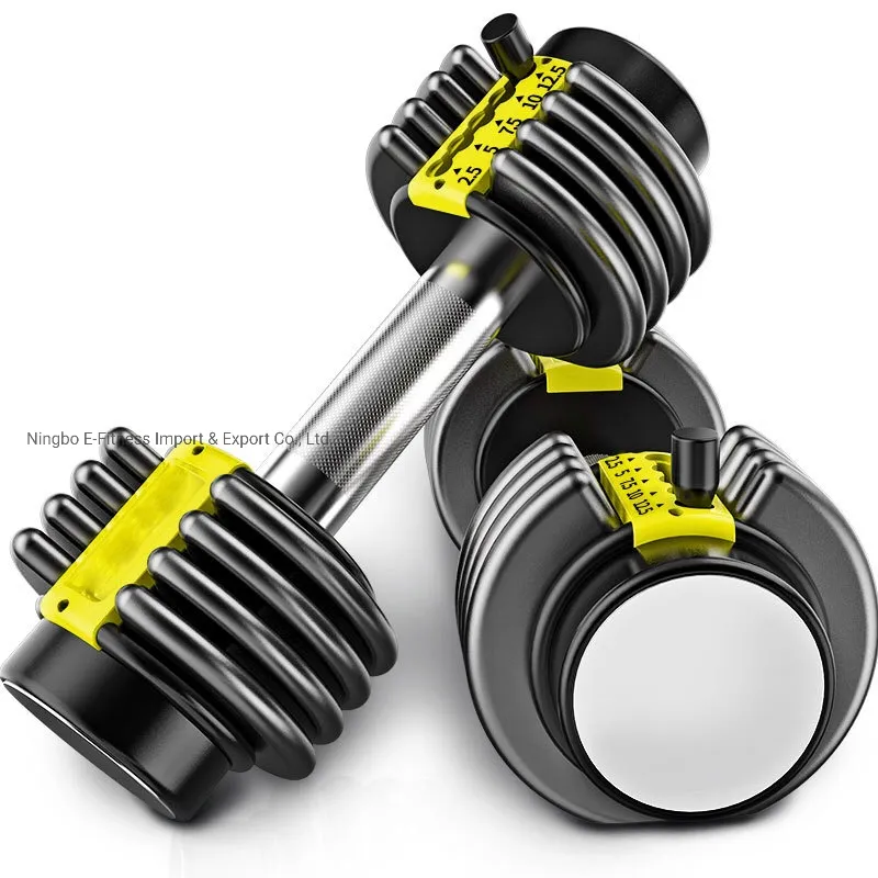 Cheap Price Gym Fitness Equipment Flexible Dumbbell Home Exercise Equipment Dumbbells