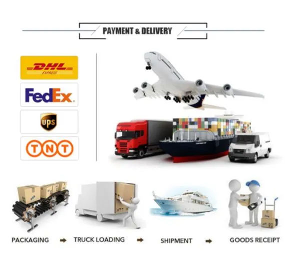 China Manufacturers High Quality High Speed Electric Scooter 60V 20ah 1000W 1500W 2000W SKD Electric Motorcycle with Pedals Disc Brake