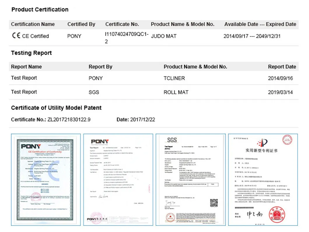 Custom Color Used Tatami MMA Kick Boxing Judo Tatami Mat
