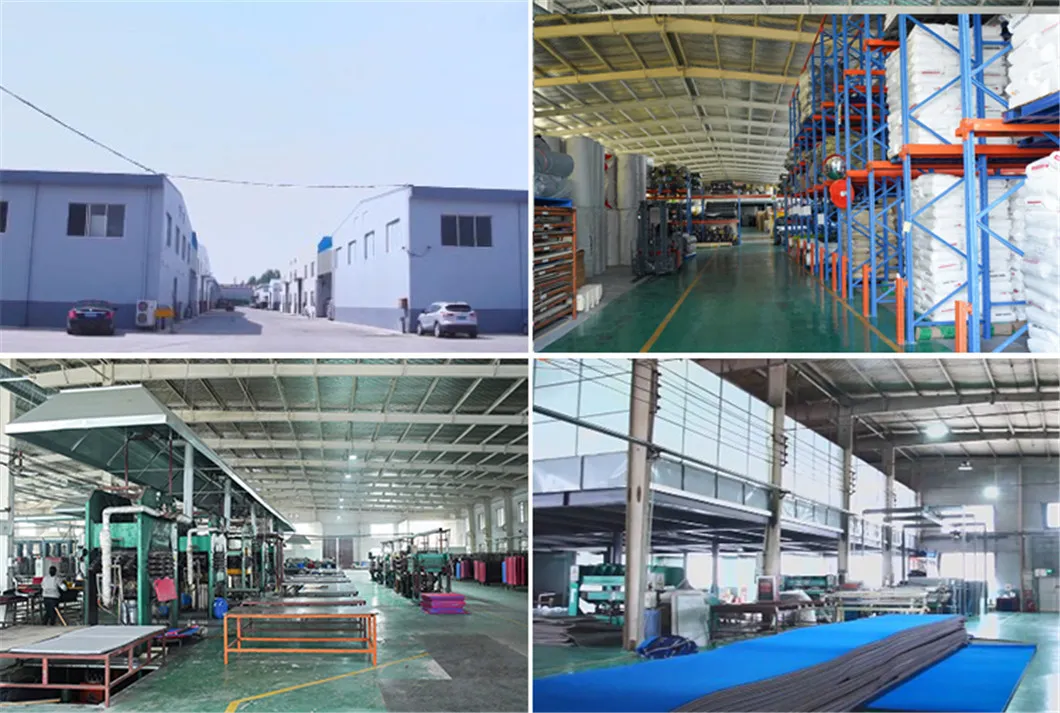 Custom Color Used Tatami MMA Kick Boxing Judo Tatami Mat