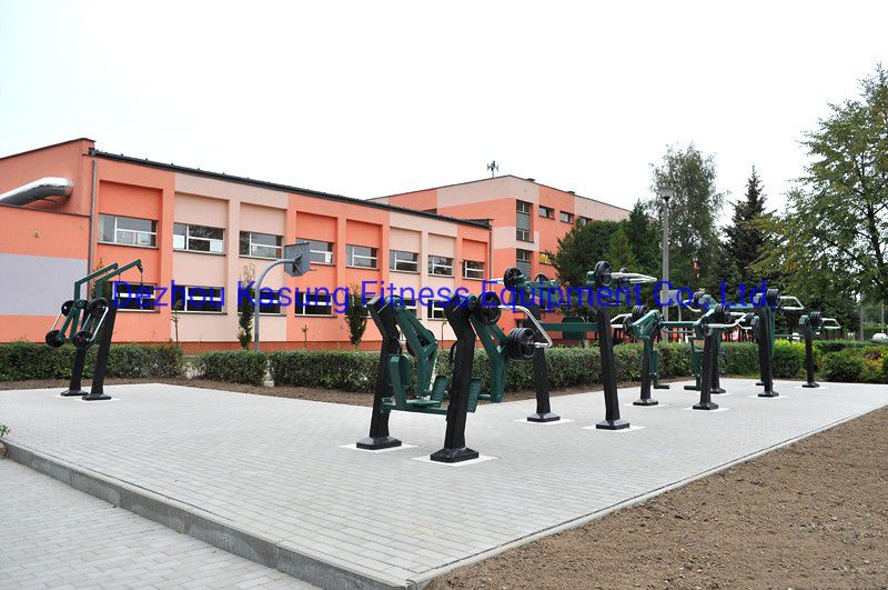 Dezhou Kasung Outdoor Gym Equipment Pec Fly with Optional Color