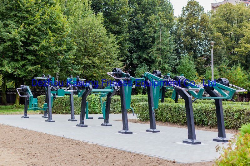 Dezhou Kasung Outdoor Gym Equipment Pec Fly with Optional Color