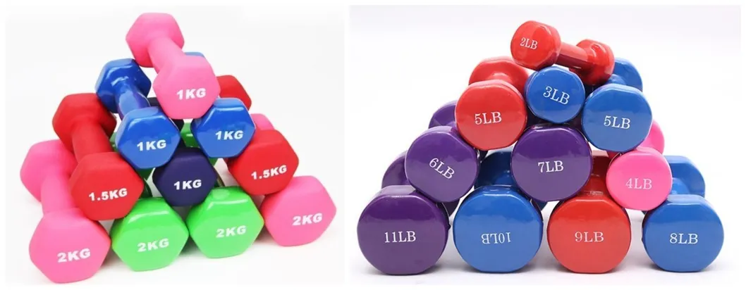Factory Custom Logo Vinyl PVC Neoprene Dipping Cart Iron Dumbbell Gym Dumbbells Set for Sale