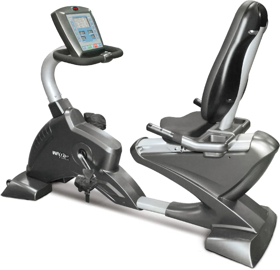 Factory Price Commercial Recumbent Bike Bicycle