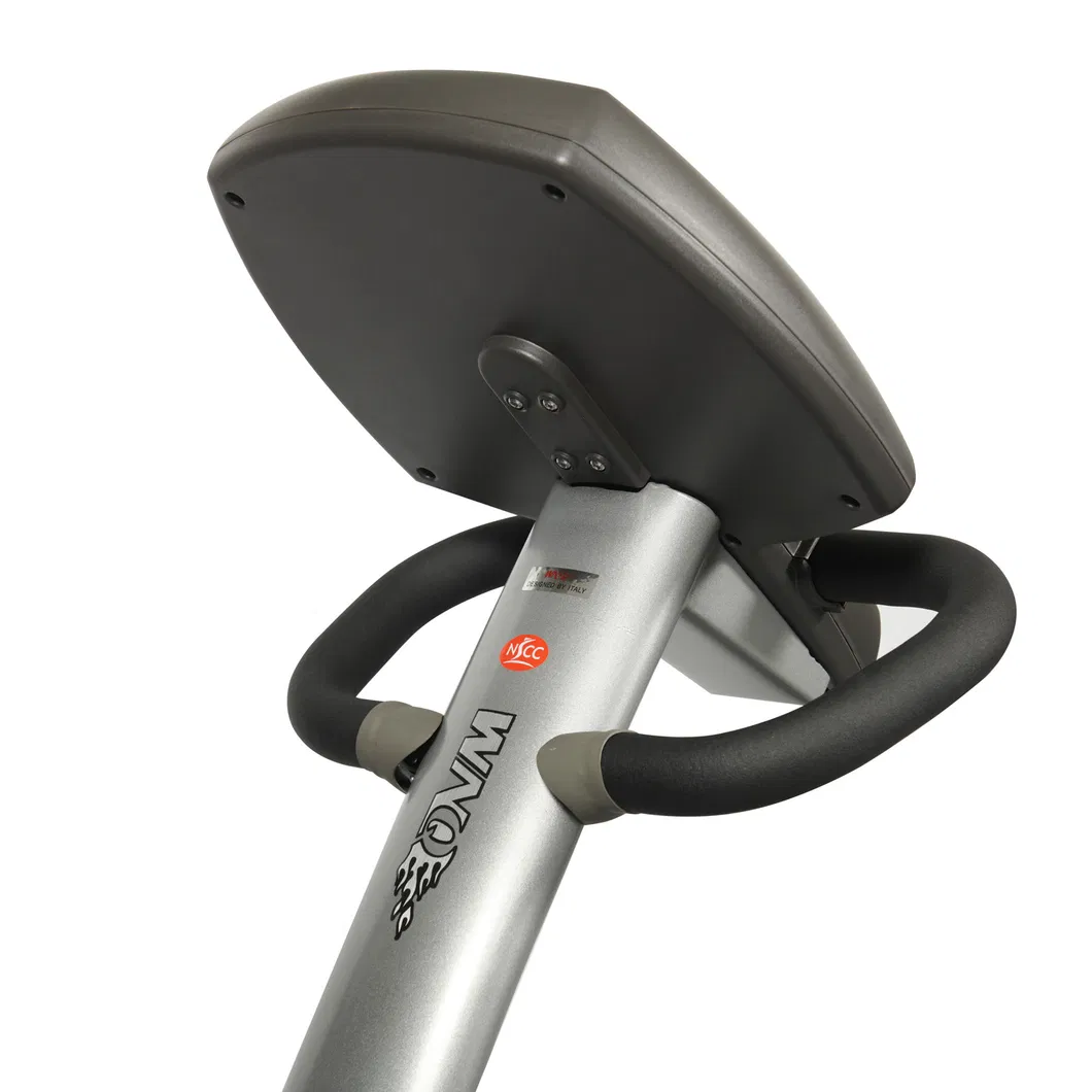 Factory Price Commercial Recumbent Bike Bicycle