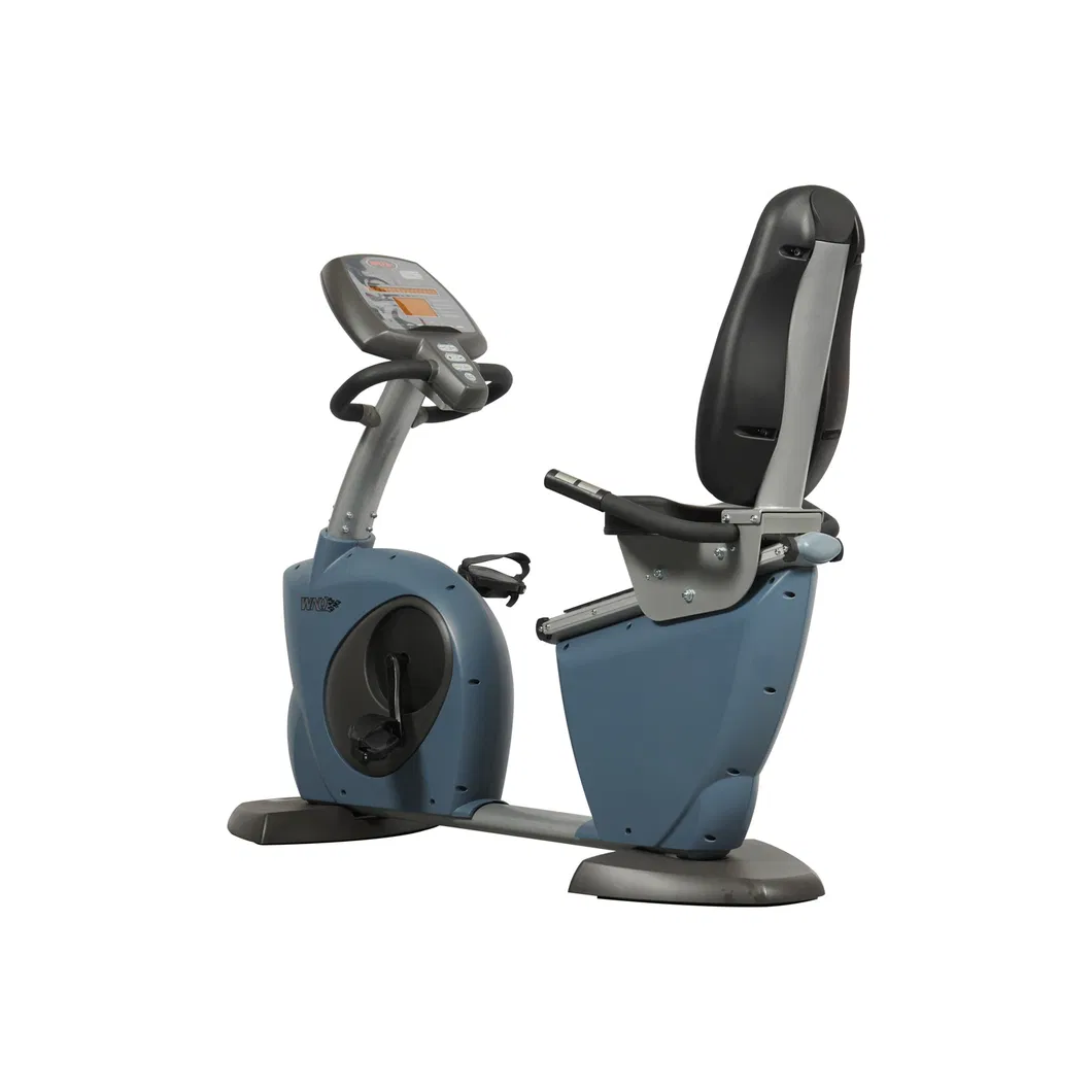 Factory Price Commercial Recumbent Bike Bicycle