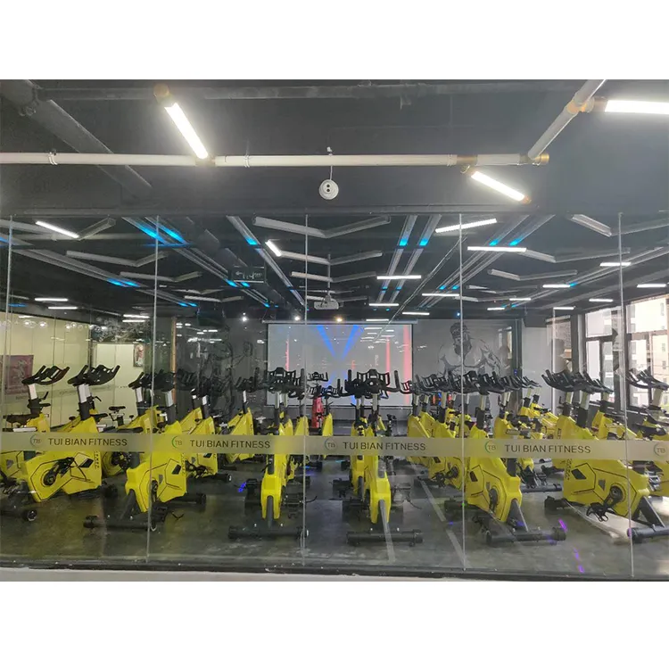 Factory Price Whole Commercial Gym Equipment Spin Exercise Bike