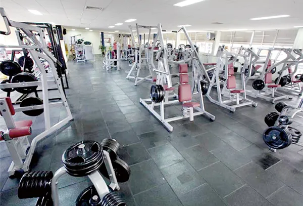 Fitness Equipment / Gym Equipment for Abdominal Crunch (HS-1037)