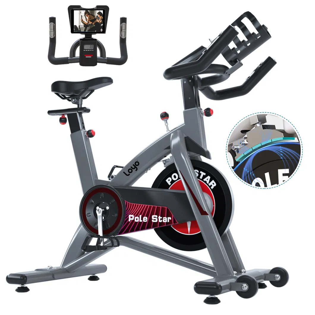 Fitness Spin Bike Magnetic Resistance Exercise Spinning Bike with Bluetooth