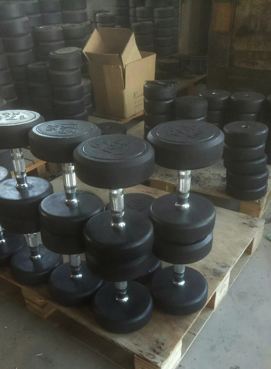 Fixed Black Rubber Dumbbell Accessories Equipment Osf-001