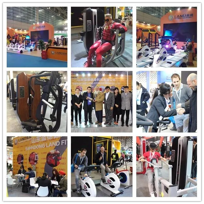 Gym Equipment Exercise Bench Incline Bench for Sale