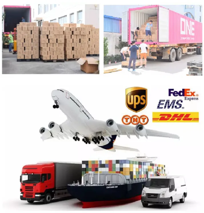 Gym Equipment Round Rubber Adjustable Dumbbells 10kg Dumbbell Sets Weightlifting