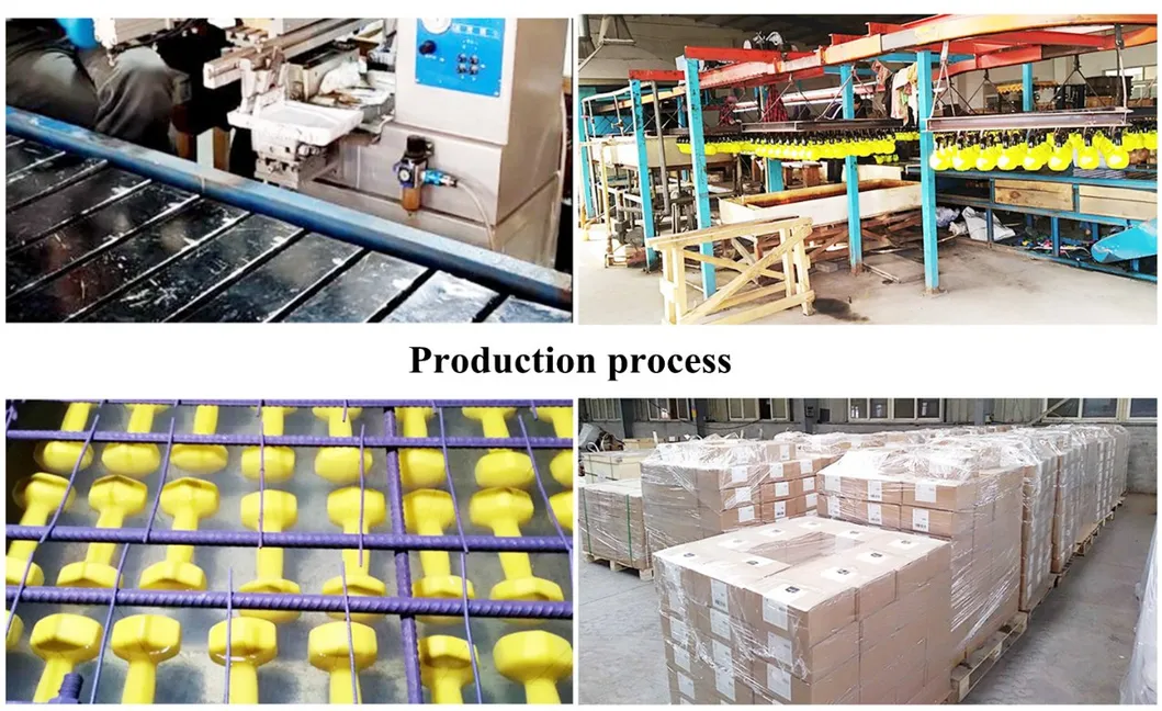 Gym Workout Training Fitness Hex Weight Set Dumbbells Dumbbell