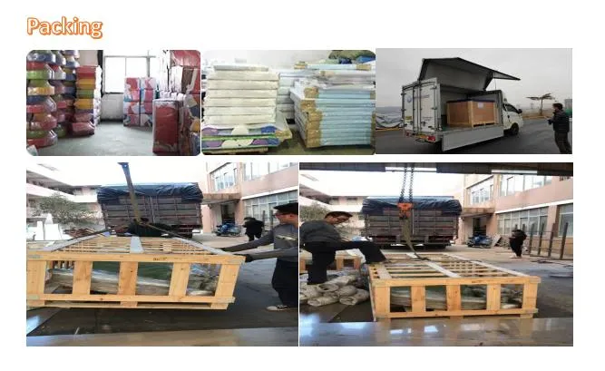 High Quality Factory Price Single Walking Trainer Outdoor Equipment for Park Usage