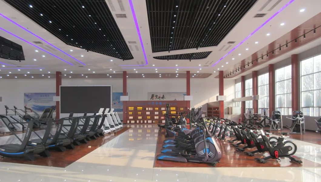 High Quality Fitness and Body Building Machine TZ-5000B Commercial Treadmill