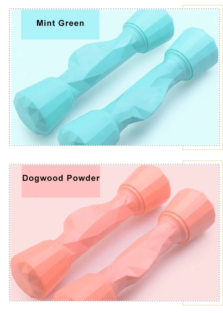 Hot Sale Hex Rubber Coated Electroplated Weight Dumbbell for Women