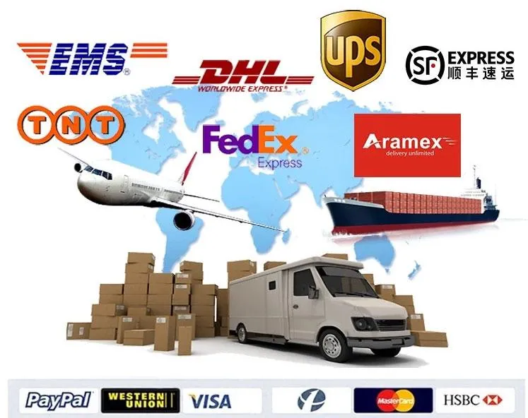 Indoor Exercise Spinning Bike 2021 New Professional Custom Logo Exercise Magnetic Indoor Spin Cycling Bike with Screen