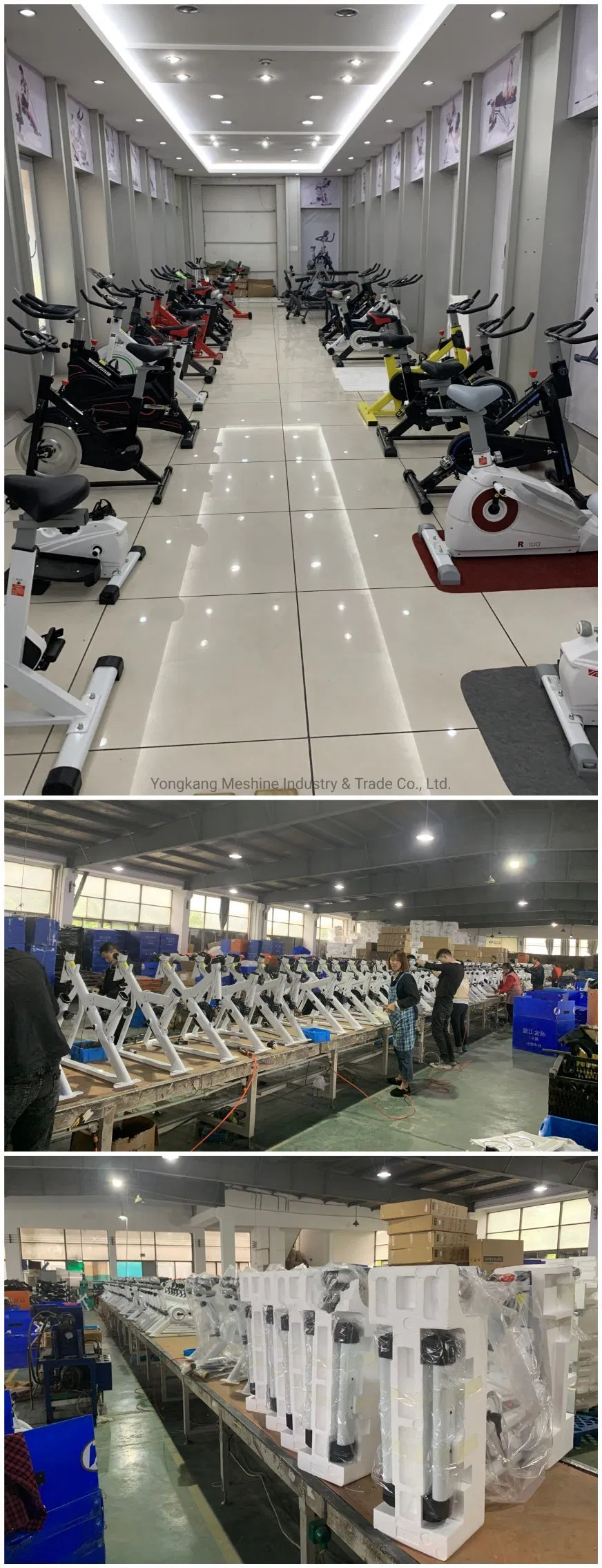 Indoor Magnetic Recumbent Bike Fitness Exercise Spinning Home Gym