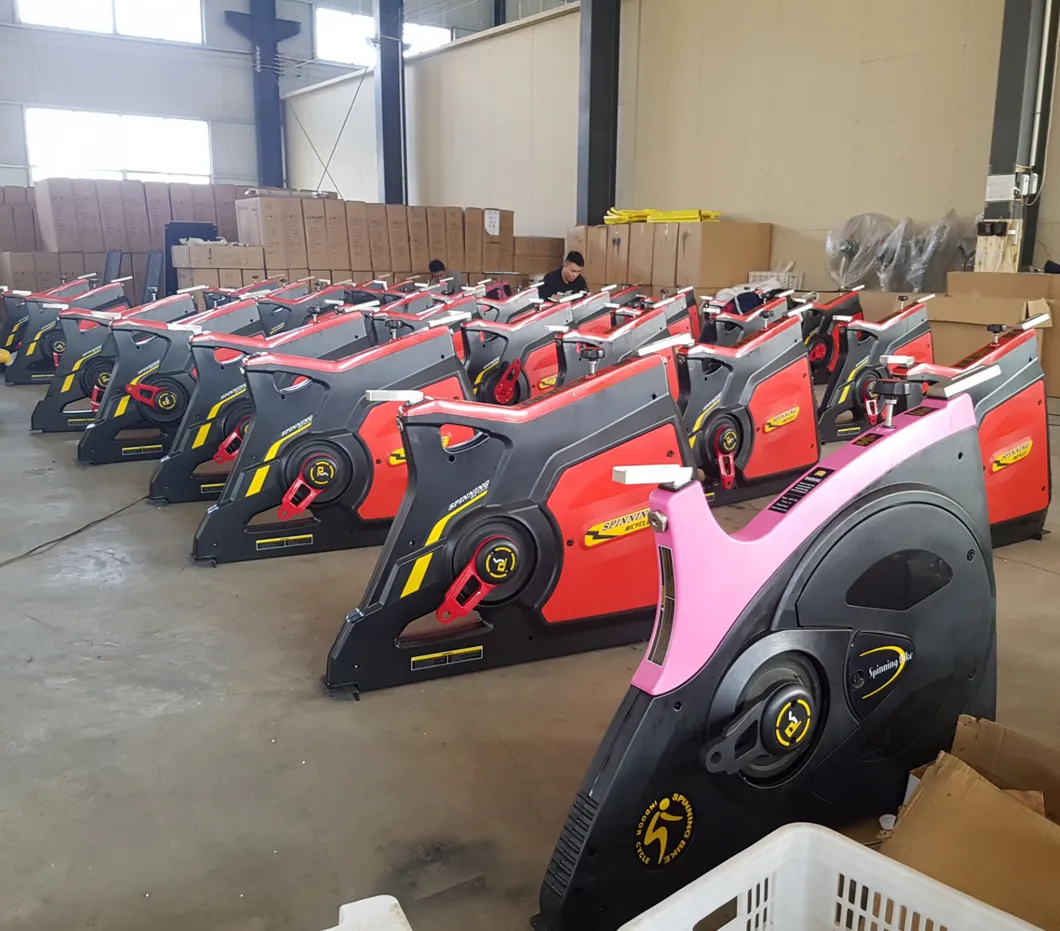 Indoor Sports Static Bicycle Spin Exercise Bike Gym Equipment Osm-5600