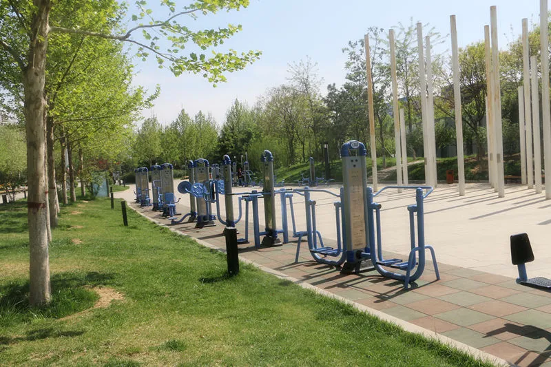 Kid Discount Workout Outdoor Sport Free Exercise Calisthenic Gym Park Fitness Equipment Manufacturer- Hip-Twister