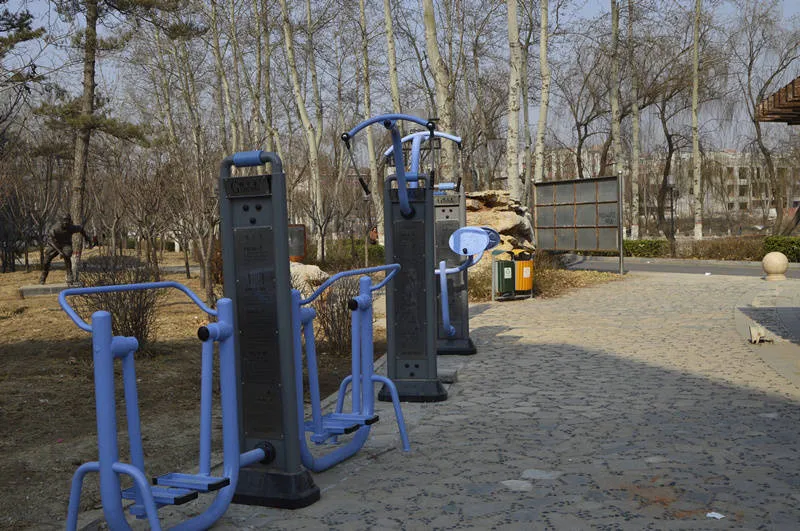 Kid Discount Workout Outdoor Sport Free Exercise Calisthenic Gym Park Fitness Equipment Manufacturer- Hip-Twister