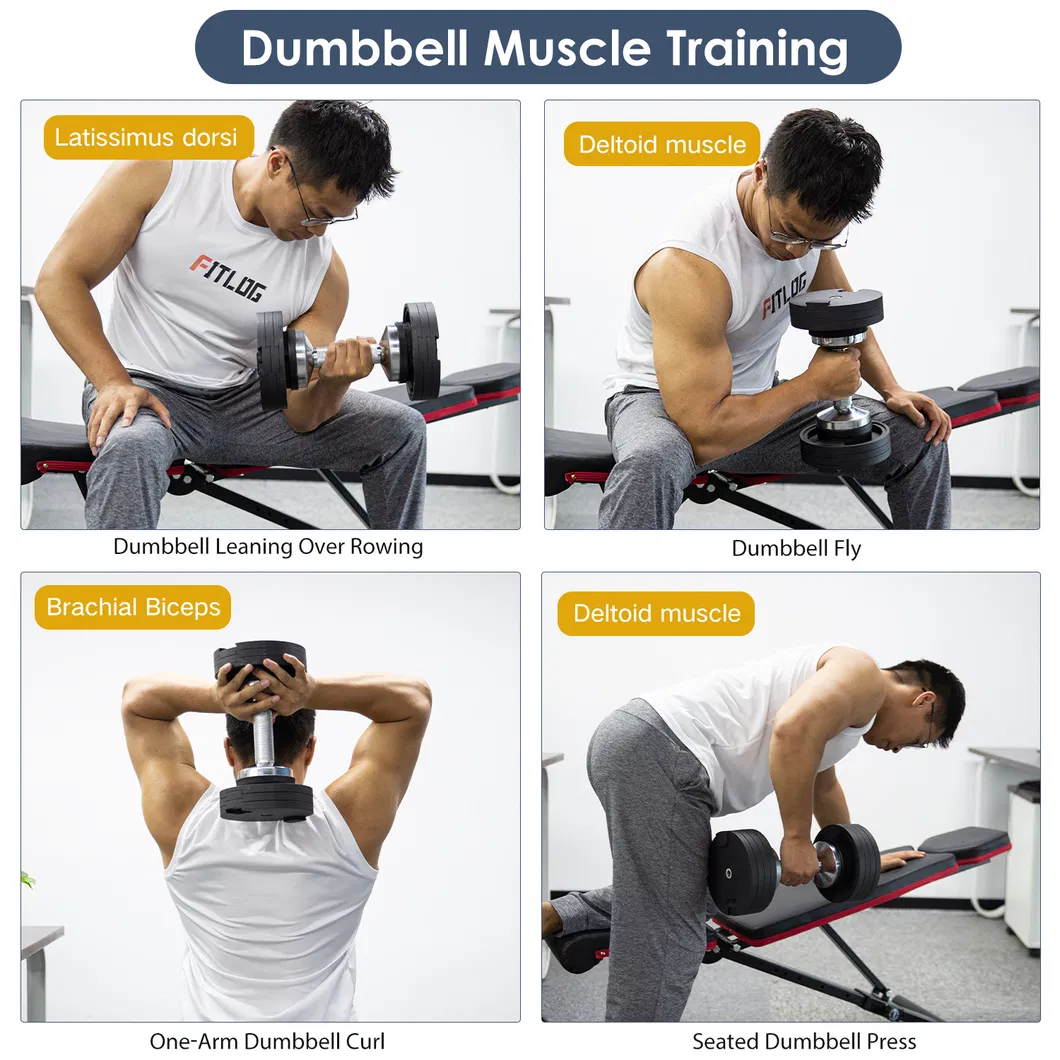 Made-in-China Adjustable Dumbbell Fitness Weight Dumbbells 40kg