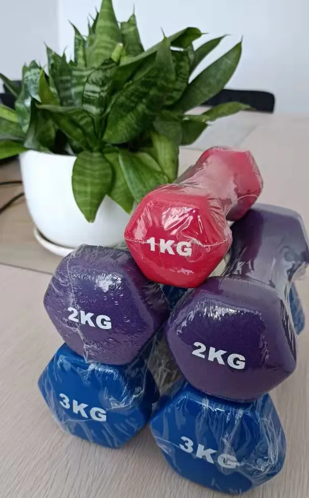 Neoprene Coated Dumbbell Weights Hand Weight Set for Home Gym Equipment Workouts