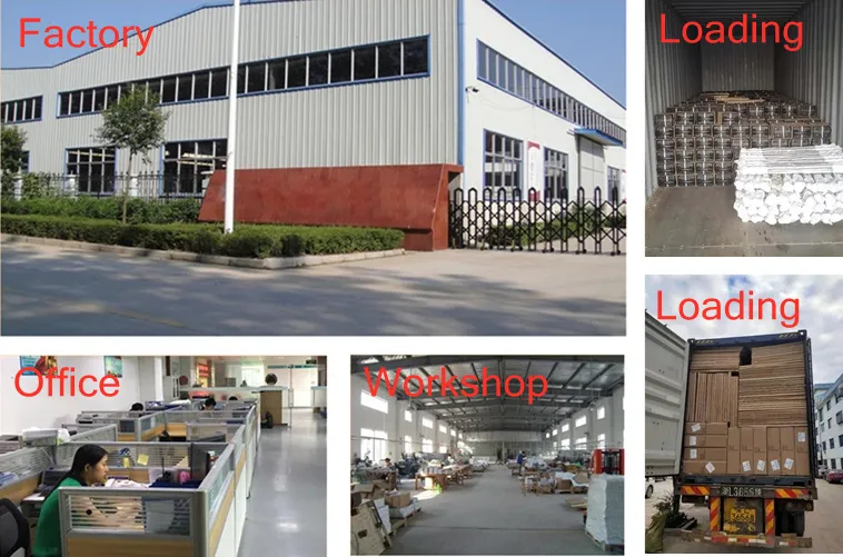 Neoprene Coated Dumbbell Weights Hand Weight Set for Home Gym Equipment Workouts