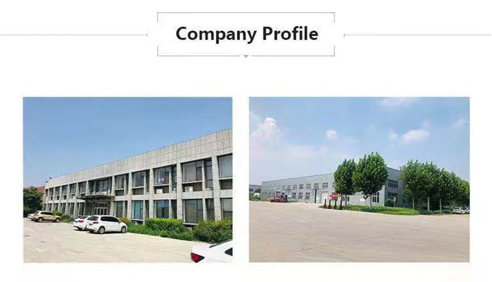 New Design Exercise Bike Home Use Body Strong Exercise Bike