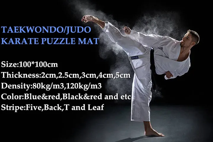 Non-Slip Five Pattern 2cm 2.5cm 3cm Taekwondo Karate Gym Mat Wrestling Tatami Floor Judo Mats Soft Material Arts Mat for Sale