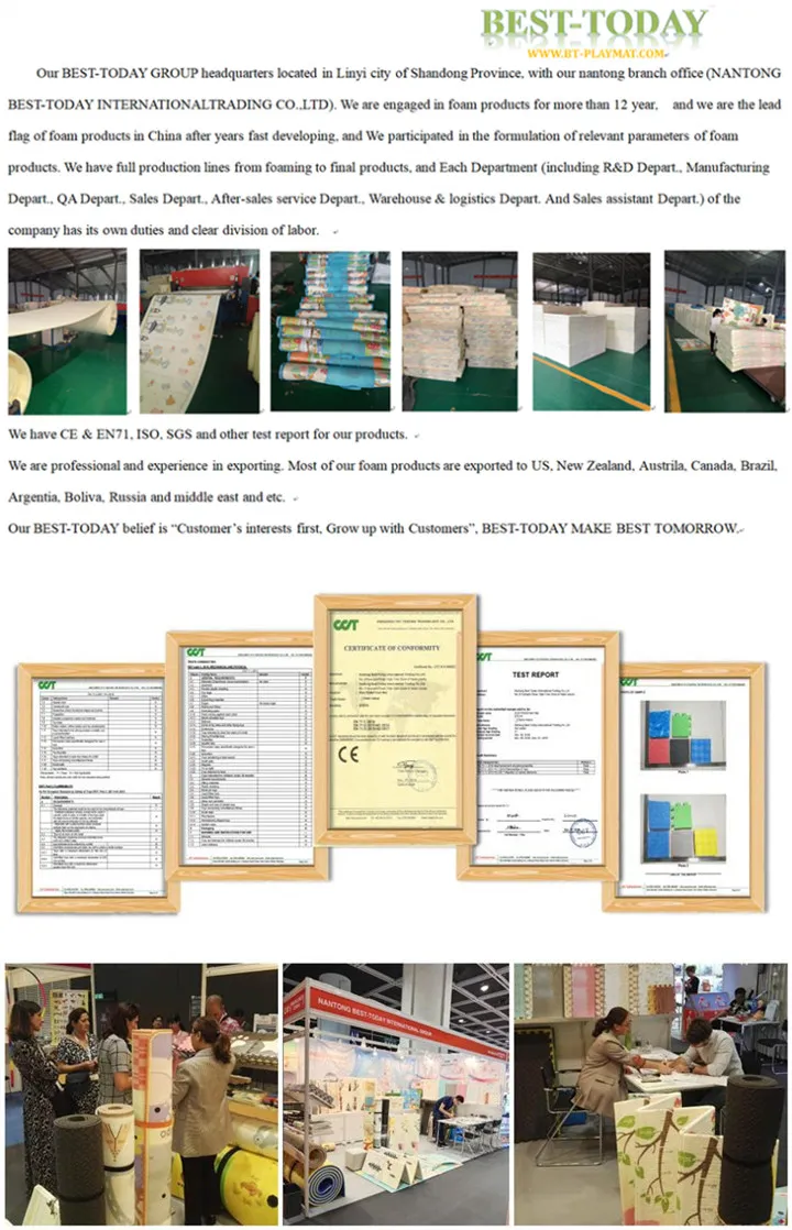 Non-Slip Five Pattern 2cm 2.5cm 3cm Taekwondo Karate Gym Mat Wrestling Tatami Floor Judo Mats Soft Material Arts Mat for Sale