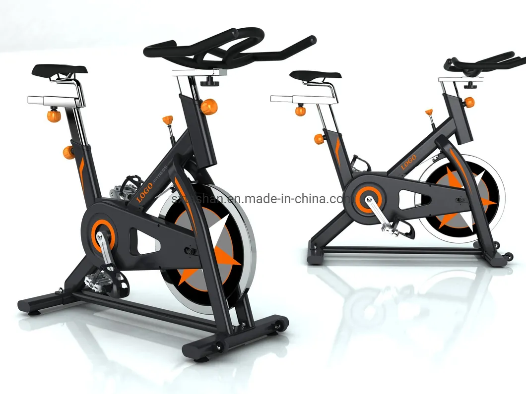 Sp2000 High-Class Spin Bike Fitness Bike