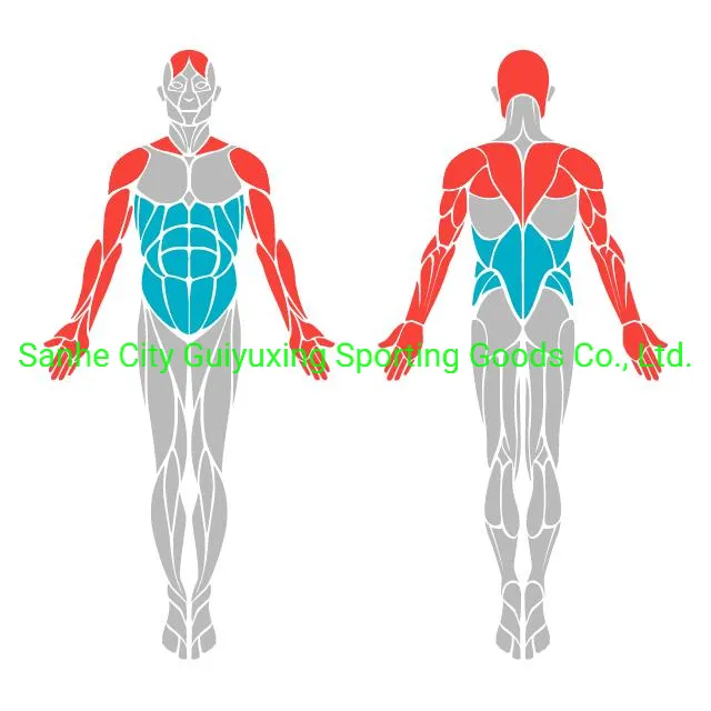 Stainless Steel Park Gym Sports Exercise Body Training Outdoor Fitness Equipment