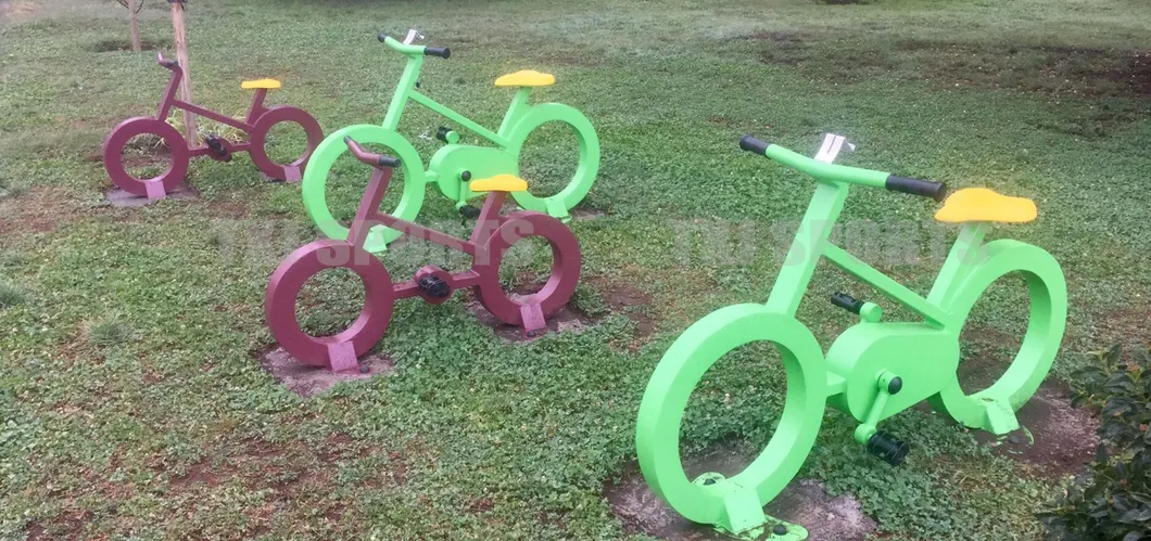 TUV Ce Certified Commercial Outdoor Kids Fitness Playground Gym Equipment