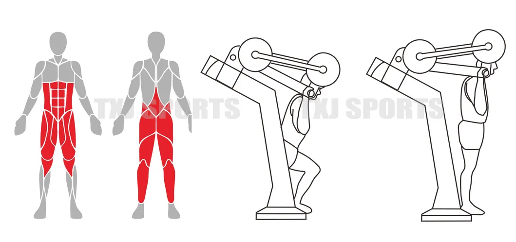 TUV Galvanized Strength Training Body Building Outdoor Fitness Gym Equipment