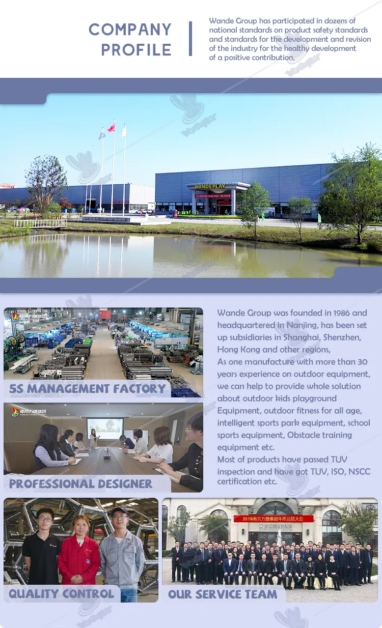 TUV Standard Body Building Exercise Strength Training Sports Goods Street Workout Gym Station Machine Sky Stepper Commercial Outdoor Fitness Equipment