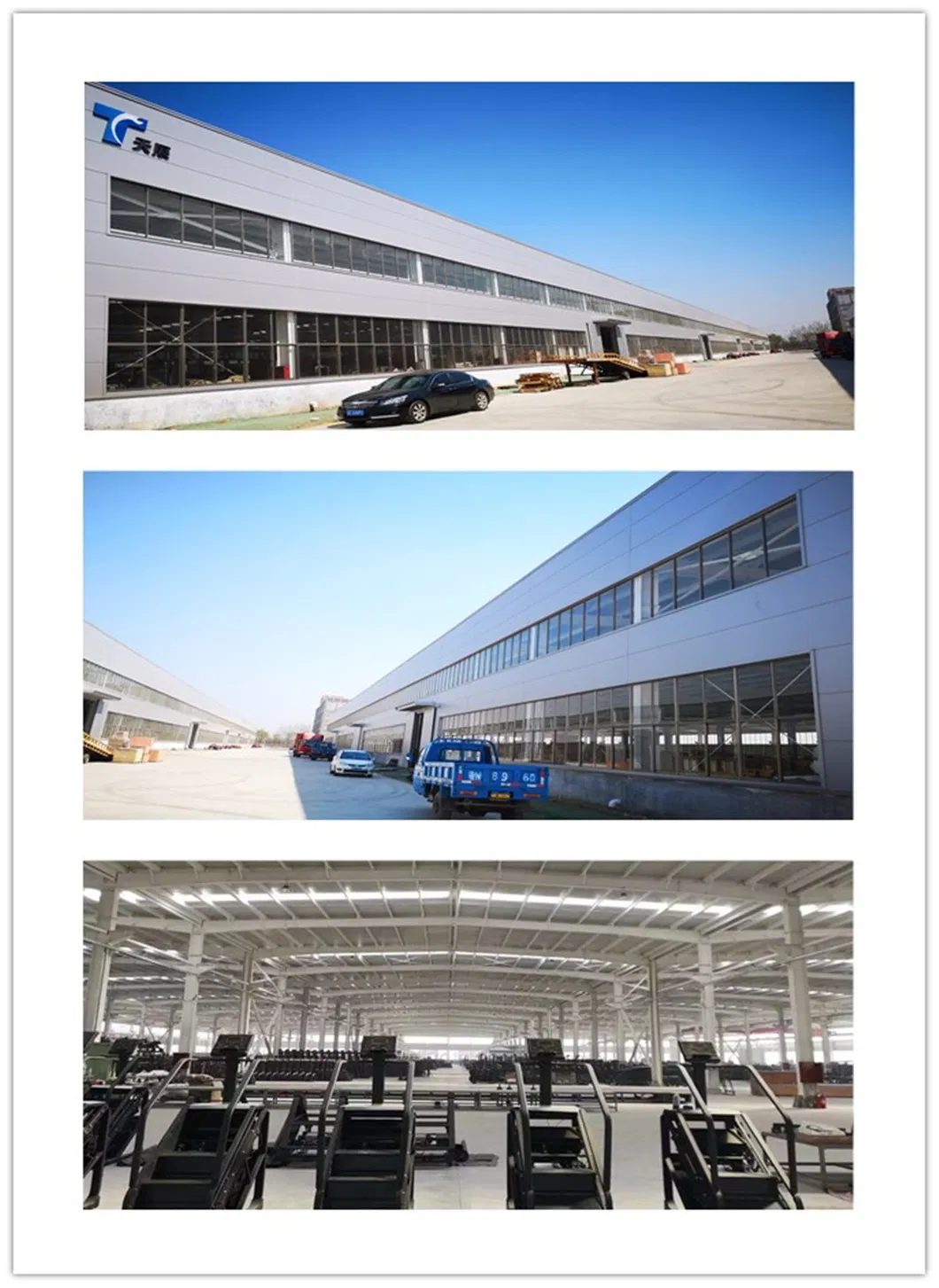 Tz-6004 Commercial Gym Equipment / Row Machine